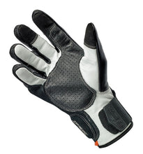 Load image into Gallery viewer, Men's Borrego Glove Black